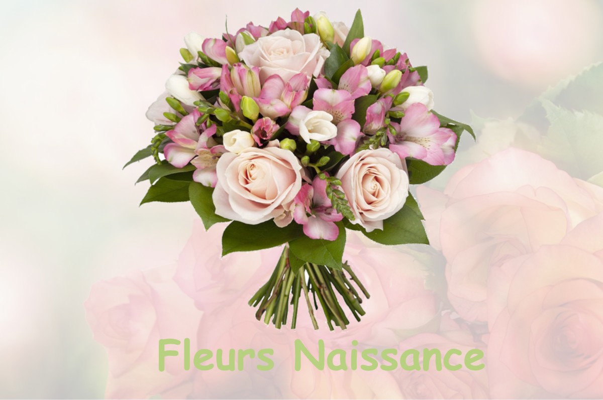 fleurs naissance SAINTE-MARGUERITE-SUR-DUCLAIR